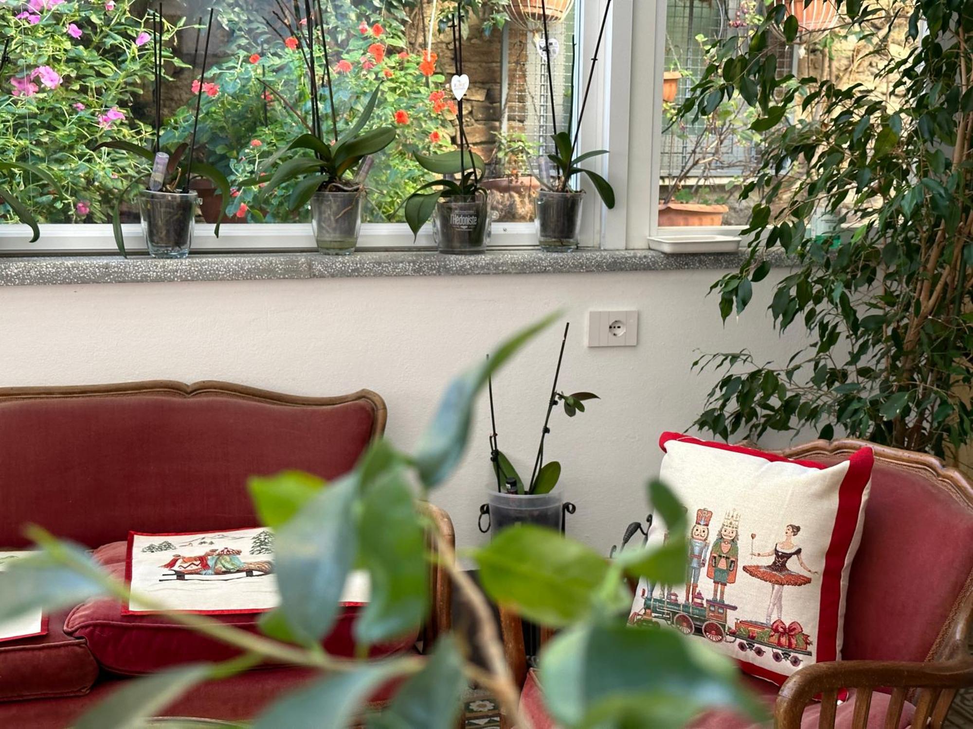 Domus Socolatae Residenza D'Epoca Charming B&B - Adults Only Follonica Luaran gambar